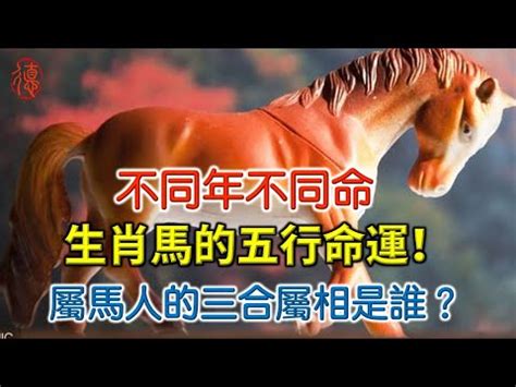 今年屬馬|【肖馬】屬馬人今年幾歲？2024年屬馬肖馬歲數對照表，馬上查。